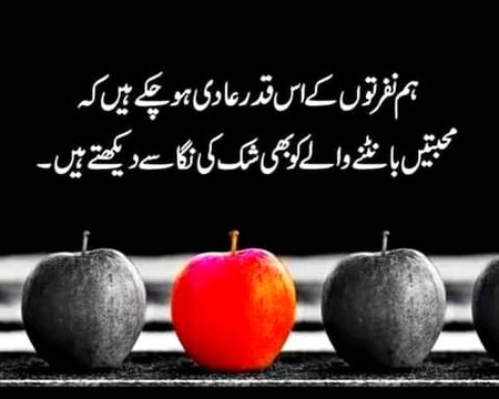 bilkul 🌹🍀🌹🍀🌹🍀