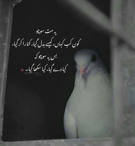 Life Advice image