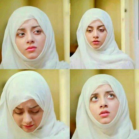 Pakistani Celebs image