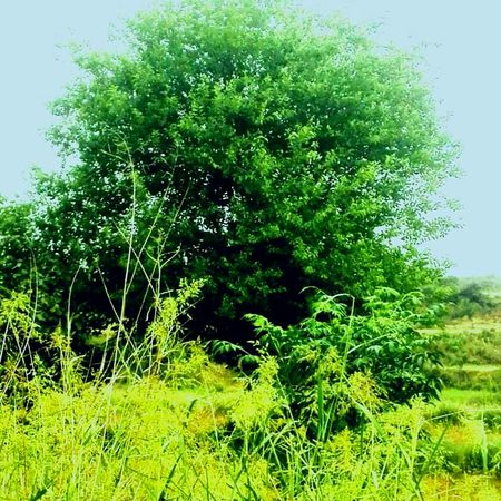 Baeutifull   Pic ❤