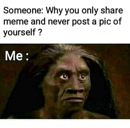 Memes & Satire image