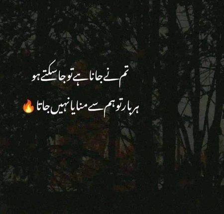Attitude Poetry image