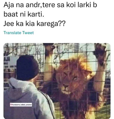 Memes & Satire image