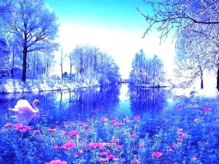 Beautiful Nature