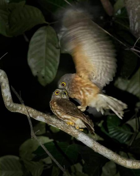 Beautiful Nature image