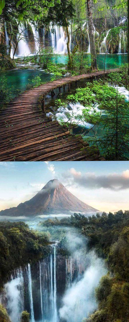 Beautiful Nature image