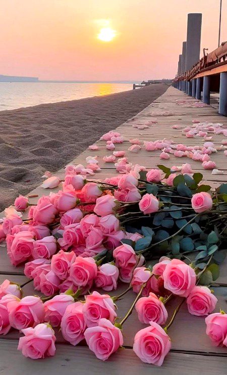 Beautiful Nature image