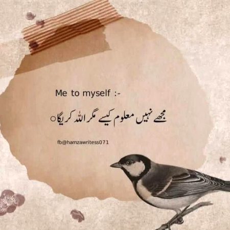 Motivational Quotes image