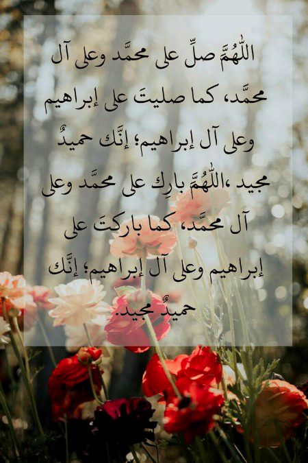 Pls ek bar parh ly ❣️