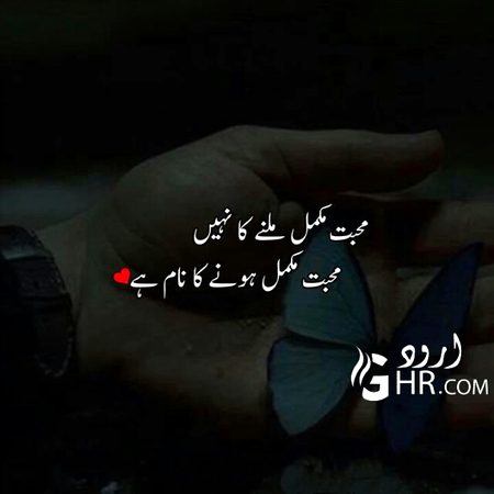 جب بھی کوئی مُسکراتا ہوا چہرہ دیکھتی ہوں تو دل سے دُعا کرتی ہوں کہ اسے کبھی محبت نہ ہو🤐
#p😌💔