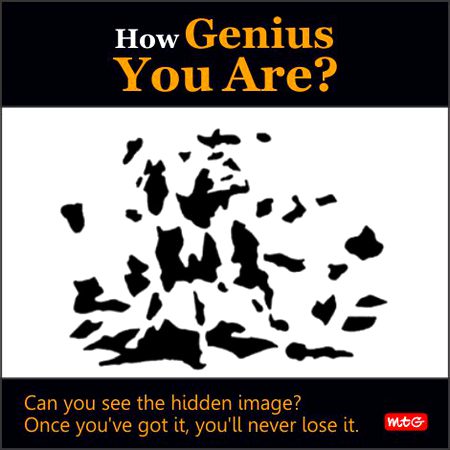Riddles & Puzzles image