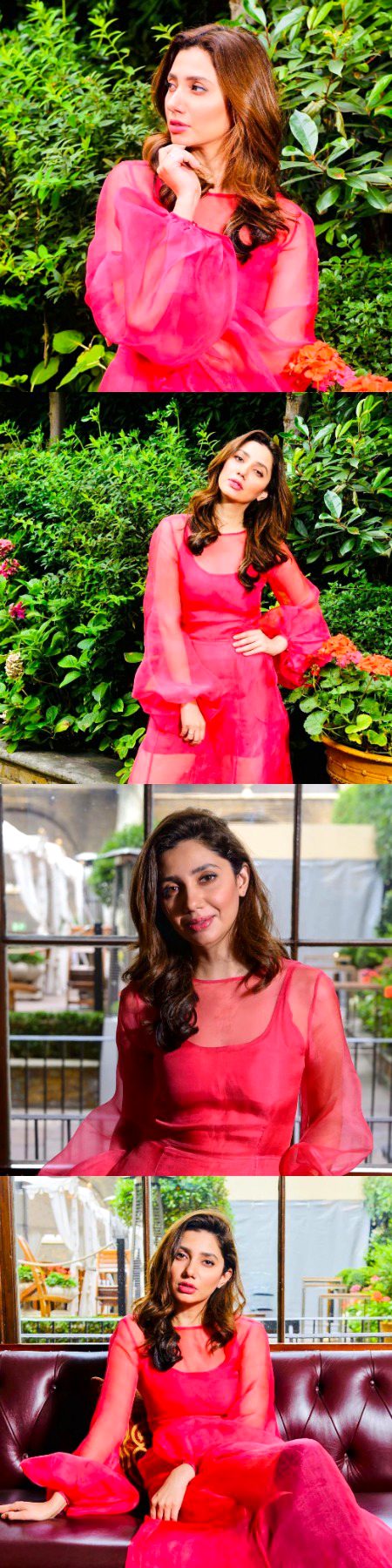 Pakistani Celebs image