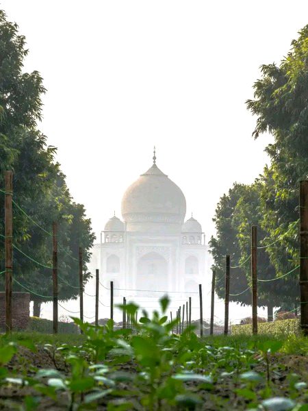 Beautiful Structures image