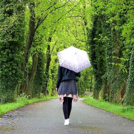 Rainy day ☔