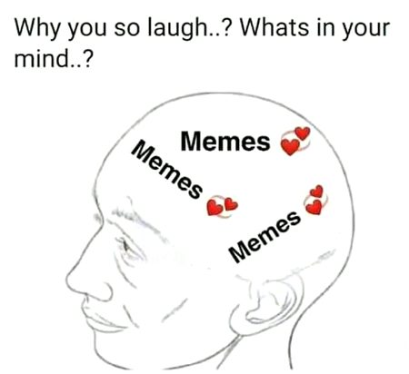 Memes & Satire image