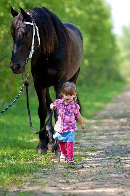 Beautiful Nature image