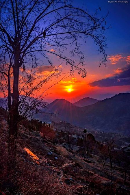 Beautiful Nature image