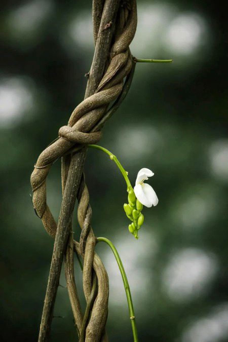 Beautiful Nature image