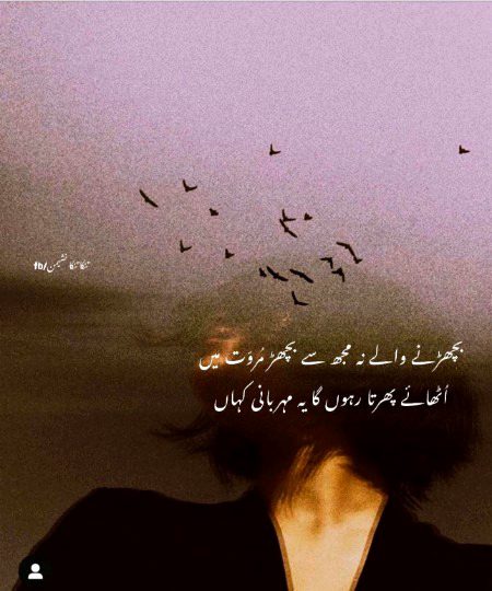 Azil sharing