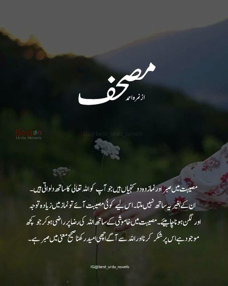 Romantic Novels image