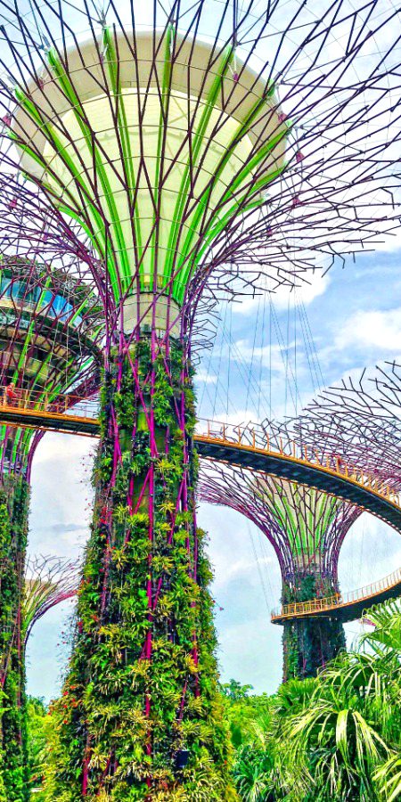 Beautiful Structures image