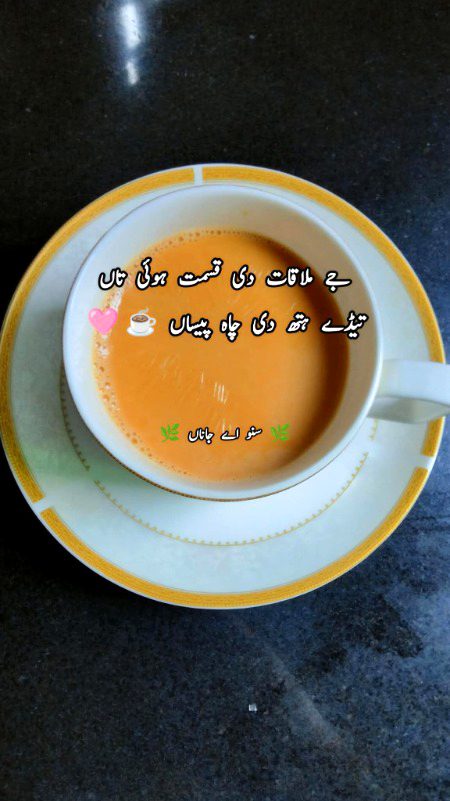 جے ملاقات دی قسمت ہوئی .. 🩷☕👩❤️👨
