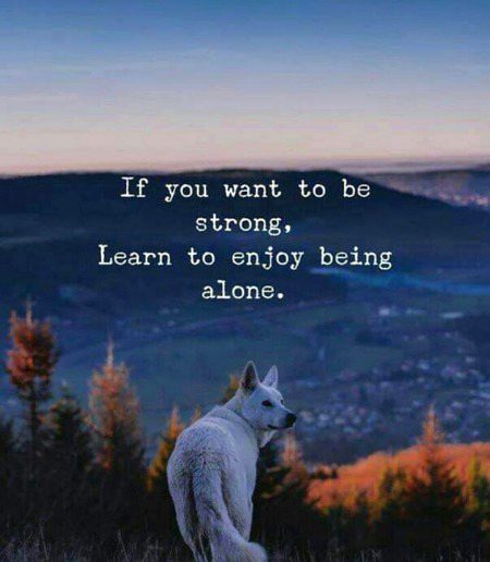 Life Advice image