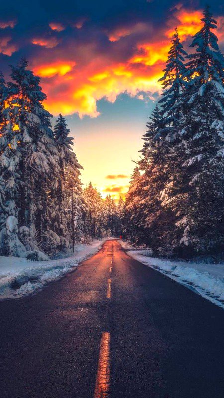 Beautiful Nature image