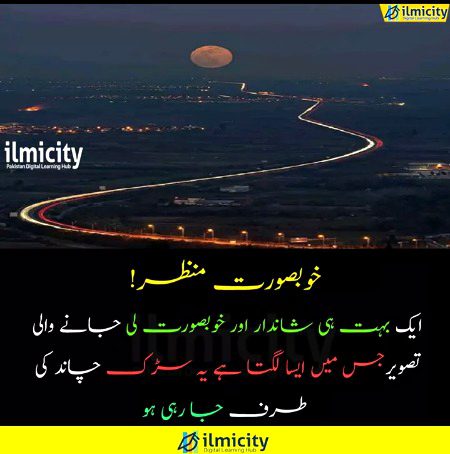 Beautiful Nature image