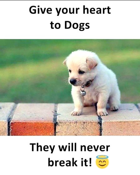 Life Advice image
