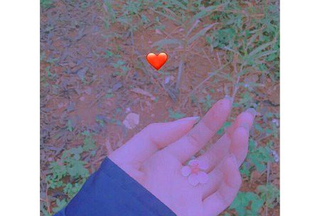 May each moMent Of My Life Be The Sweetness-Fragrance Of My Heart-Rose🦋🌸💐🌷🌺🍂