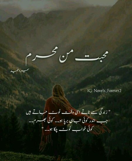 Romantic Novels image