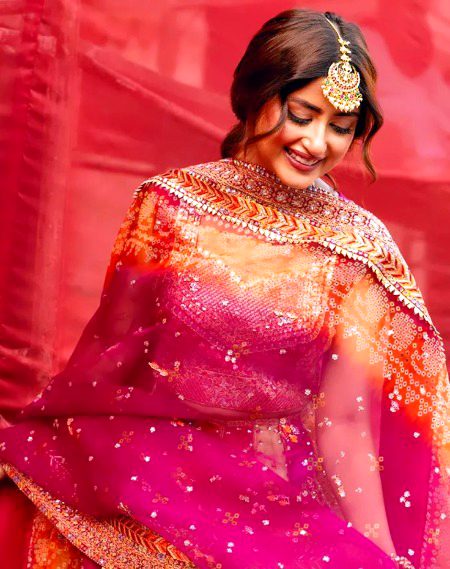 Pakistani Celebs image