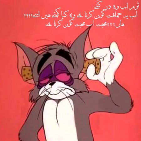 Memes & Satire image