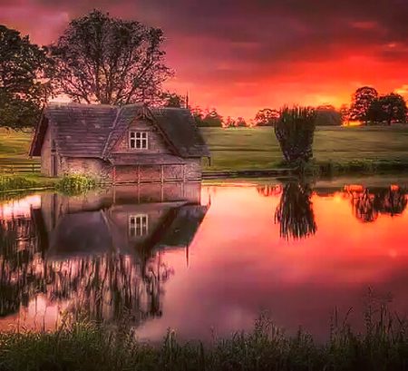 Beautiful Nature image
