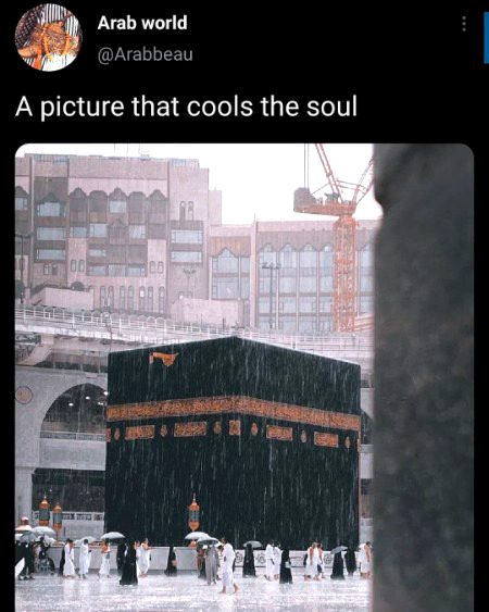 Beautiful Structures image