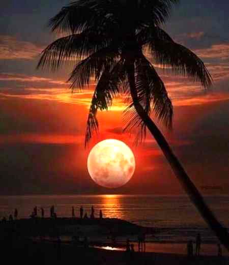 Beautiful Nature image