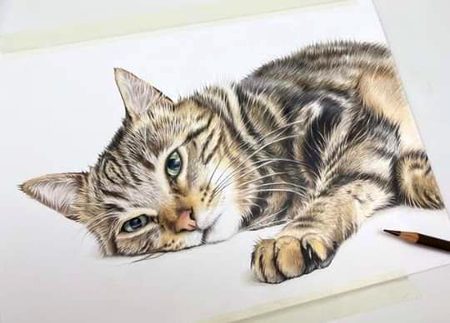 Beautiful Nature image