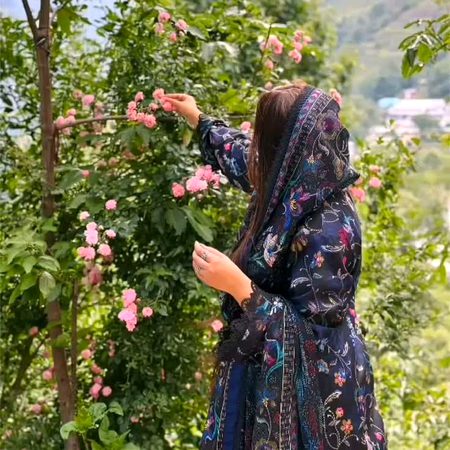 Beautiful Nature image