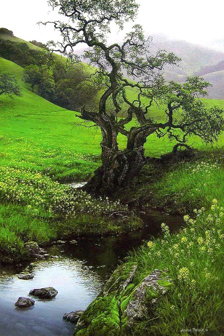Beautiful Nature image