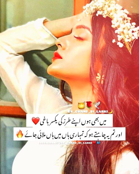 Attitude Poetry image