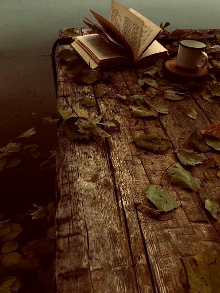 Beautiful Nature image