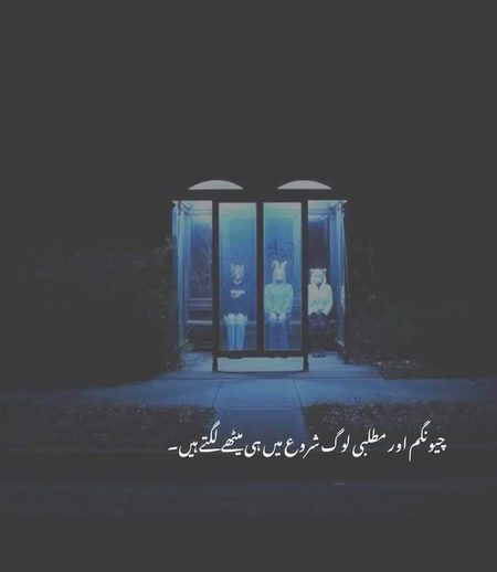 Memes & Satire image