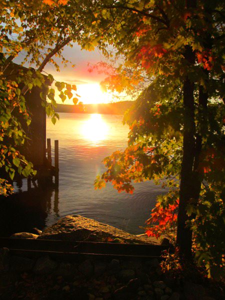 Beautiful Nature image