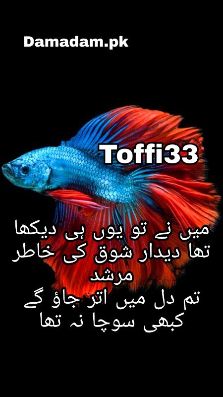 Romantic Poetry image