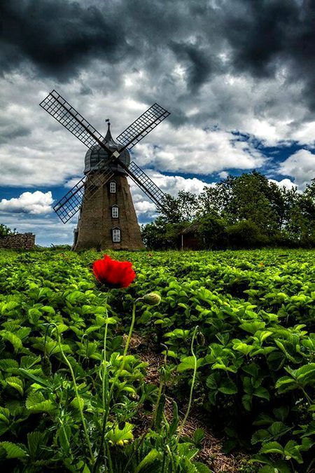Beautiful Nature image