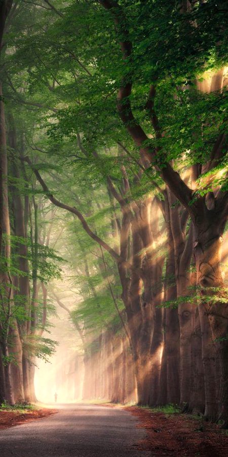 Beautiful Nature image