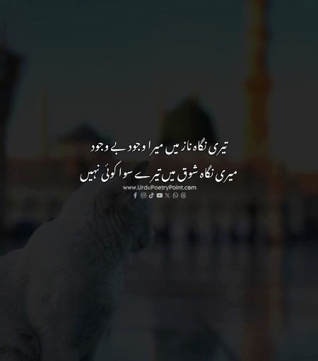 سپیشل فار یو، ✨✨✨✨