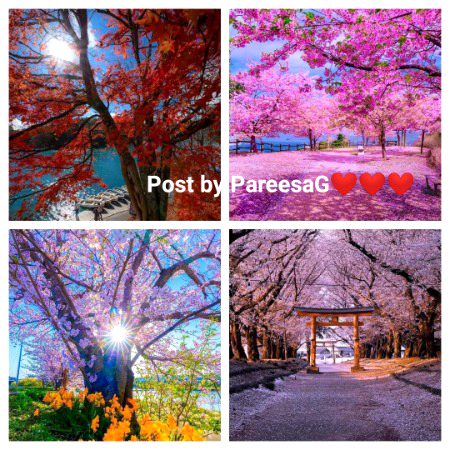 Beautiful nature❤️❤️❤️