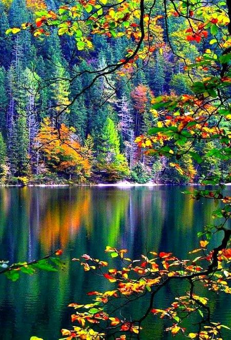 Beautiful nature ///p0st by A.D